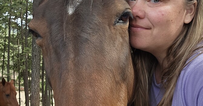 Equine Assisted Counselling